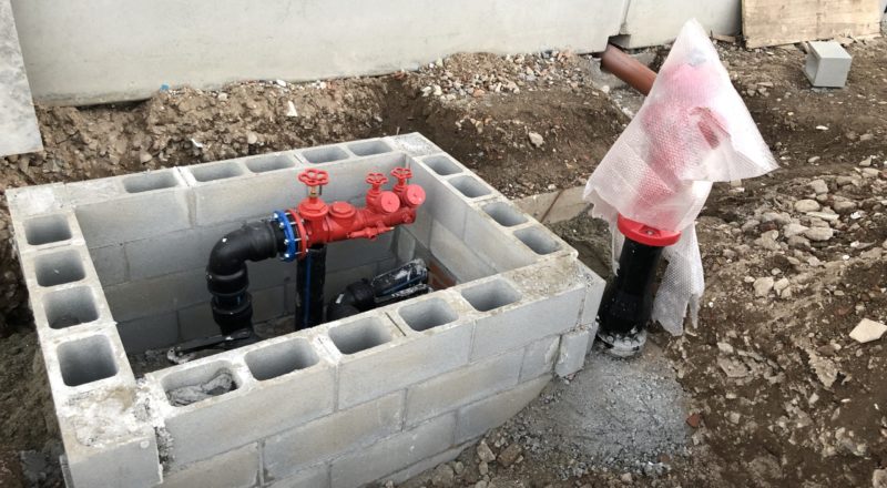 IMG_0926
